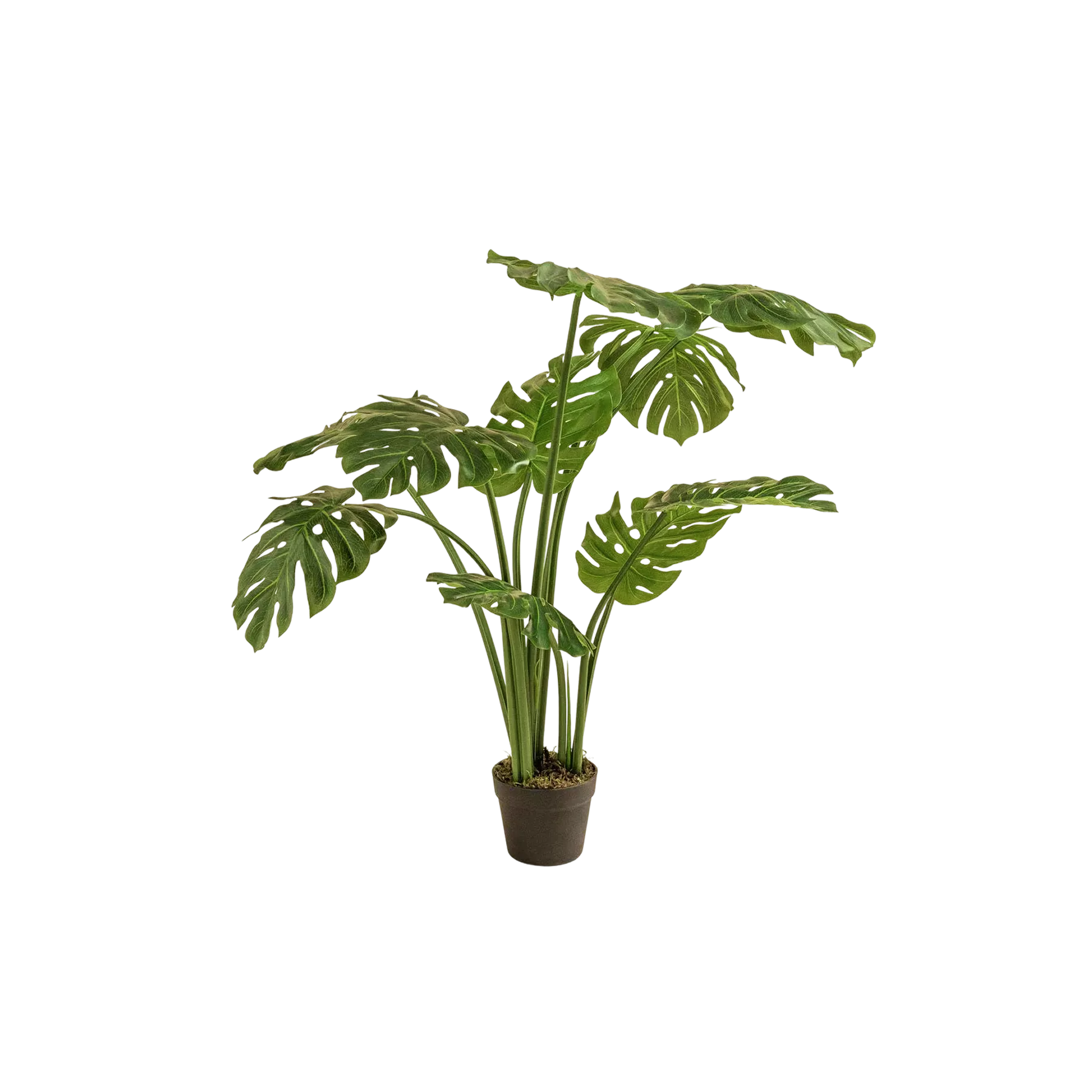 Monstera deliciosa artificielle en pot, plante d'intérieur aux larges feuilles vertes découpées caractéristiques. Cette reproduction fidèle apporte une touche de verdure tropicale sans entretien, idéale pour les espaces manquant de lumière naturelle.
