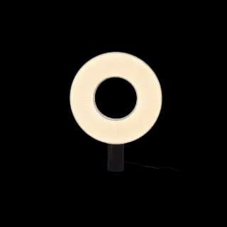 Luminaire